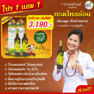 โปร1แถม1มายเฟรนด์สำหรับปี2568